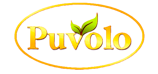 Puvolo